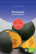 Green Hokkaido Pumpkin Organic seeds