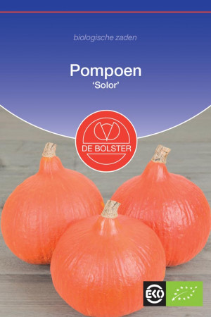 Solor pumpkin Organic seeds