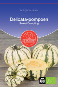 Sweet Dumpling Pumpkin Organic seeds