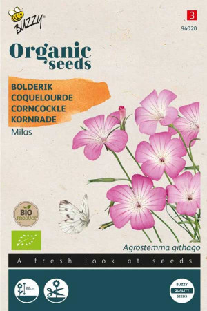 Corncockle Milas Agrostemma Organic seeds