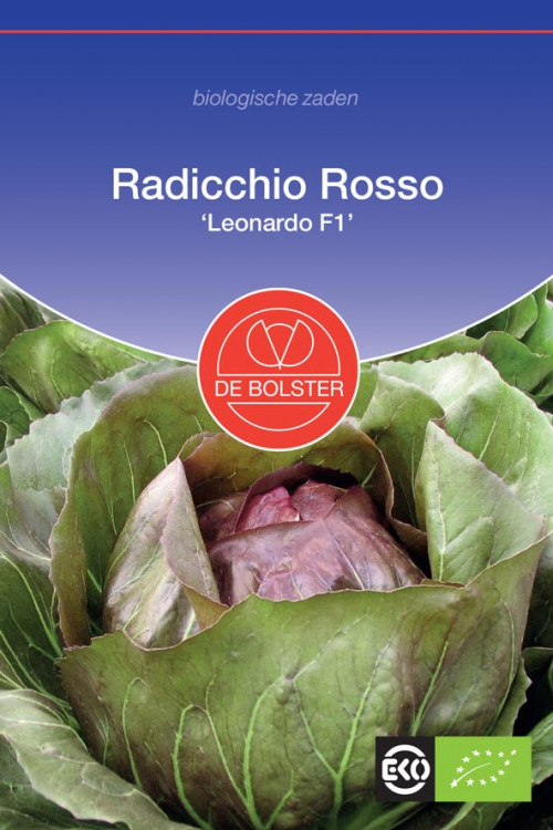 Leonardo F1 Radicchio Organic seeds