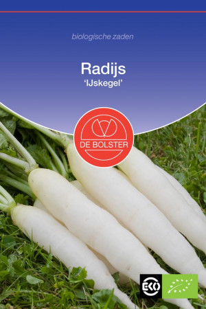 IJskegel Radish Organic seeds