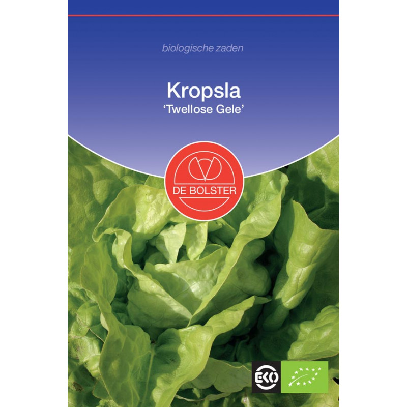 Vegetable seeds Flower seeds Organic seeds