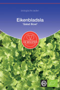 Salad Bowl Lettuce Organic seeds