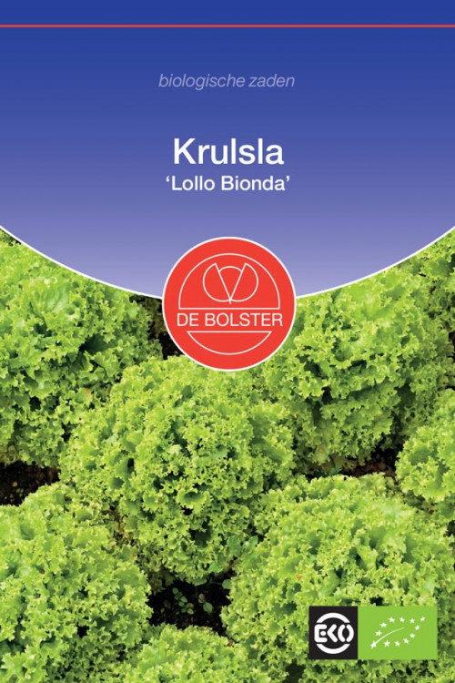 Lollo Bionda lettuce Organic seeds
