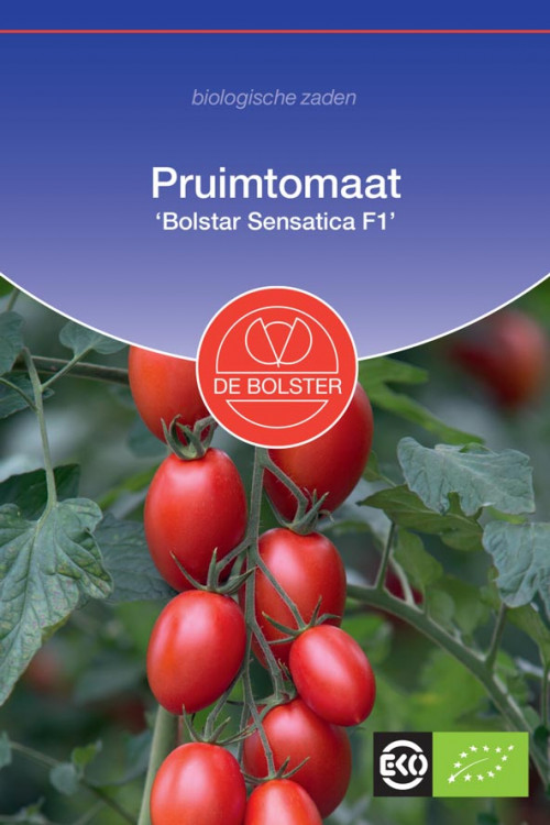 Bolstar Sensatica F1 Roma tomaat Organic seeds
