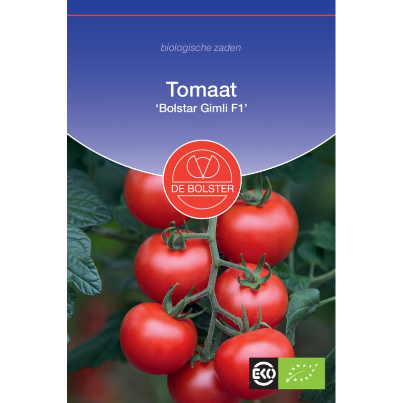 Bolstar Gimli F1 Tomaat biologische zaden Tomaten kopen? Tuinzaden.eu