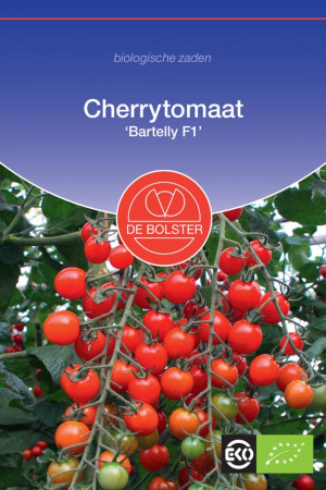 Bartelly F1 Cherry tomato...