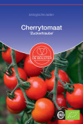 Zuckertraube Cherry tomato Organic seeds