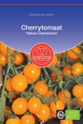 Yellow Clementine Cherrytomaat biologische zaden