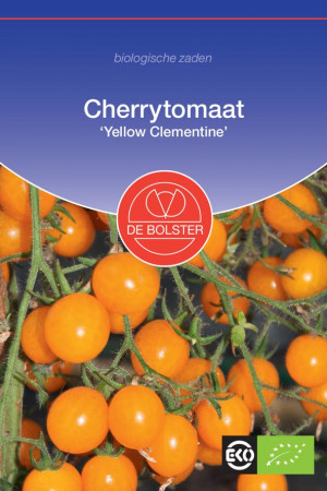 Yellow Clementine Cherry Tomato Organic seeds