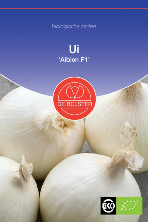 Albion F1 Onion Organic seeds