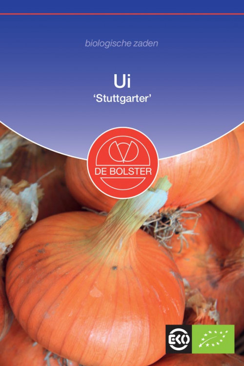 Stuttgarter Onion Organic seeds