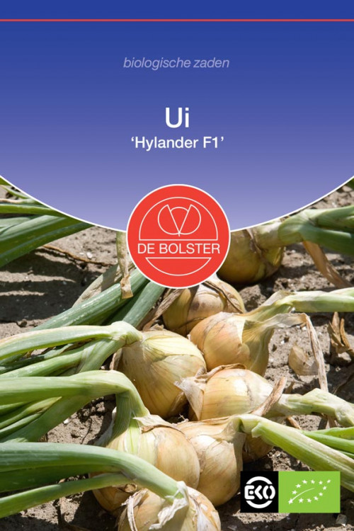 Hylander F1 onion Organic seeds