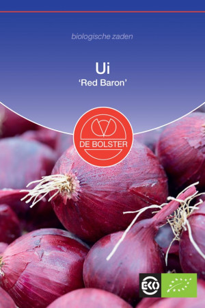 Red Baron onion Organic seeds