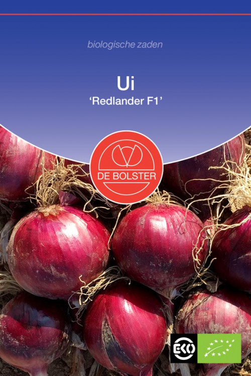 Redlander F1 Red onion Organic seeds