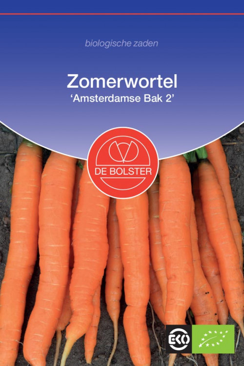 Amsterdamse Bak 2 Zomerwortel biologische zaden