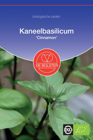 Cinnamon Basil Organic seeds
