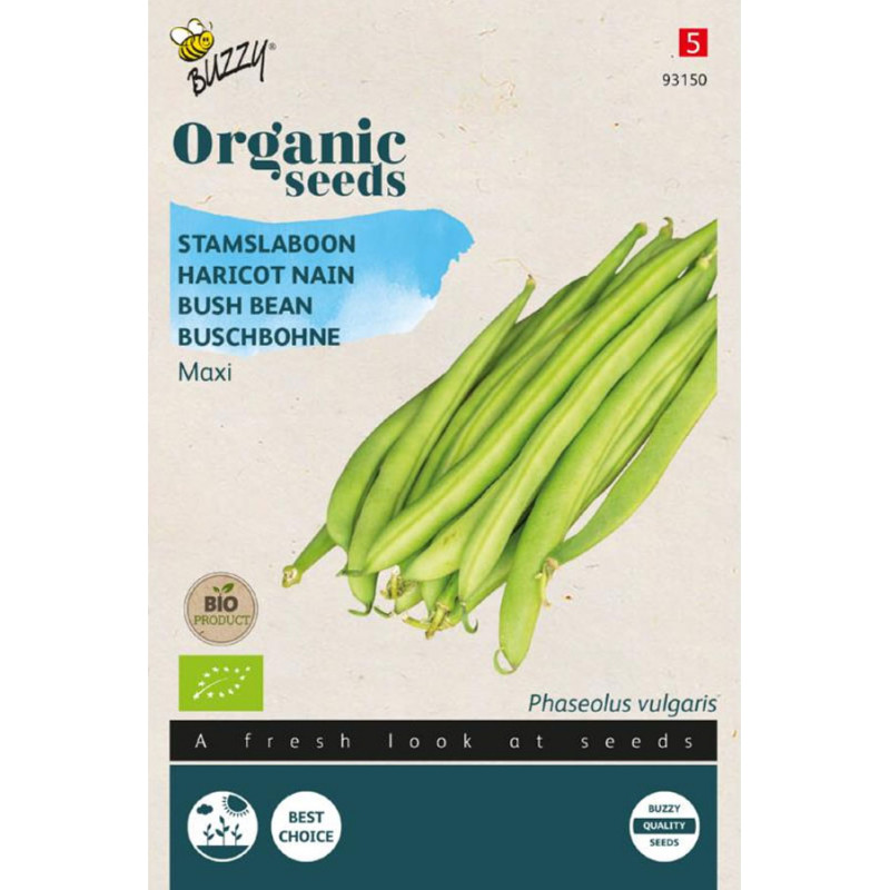 Maxi Dwarf Beans organic seeds - Common french bean • Tuinzaden.eu