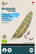 Lapwing dwarf green beans Borlotto Rosso organic seeds
