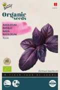 Rosie Sweet Basil Organic seeds