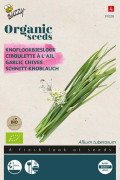 Garlic Chives Organic seeds