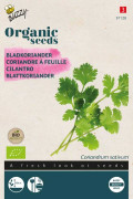 Coriander Cilantro Organic seeds