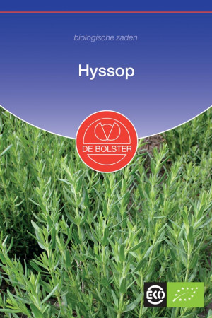 Hyssop biologische zaden