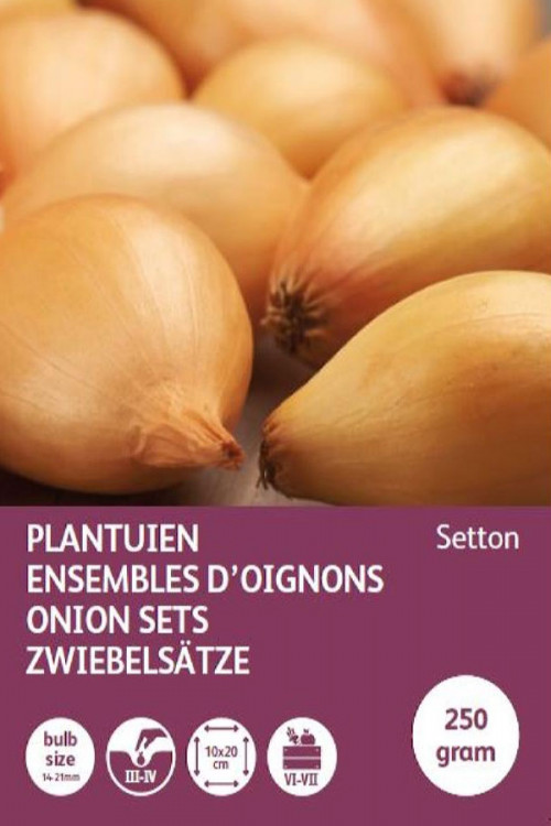 Setton yellow onion sets 250g