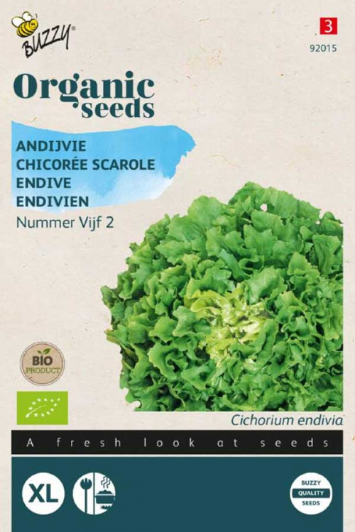 Batavian Nummer 5 Endive Organic seeds
