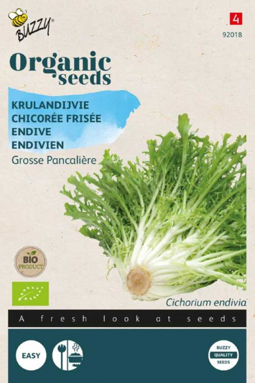 Grosse Pancalière Curled Endive Organic seeds