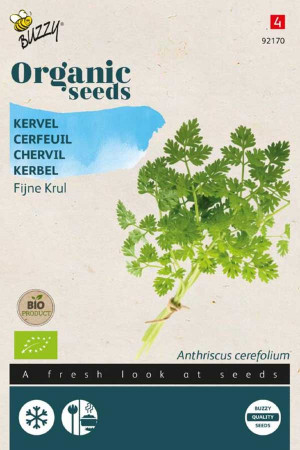 Fine Curl Chervil Organic Seeds