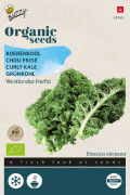 Westlandse Winter Curly Kale Organic seeds