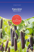 Blauwschokker climbing Kapuchin Organic seeds