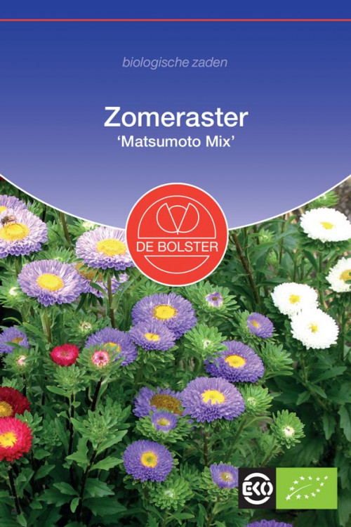 Matsumoto Mix Aster Organic seeds