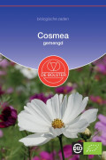 Gemengde Cosmea biologische zaden