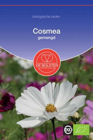 Mixed Cosmea Organic seeds