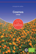 Oranje Cosmea biologische zaden