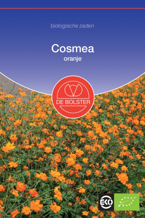 Oranje Cosmea biologische zaden