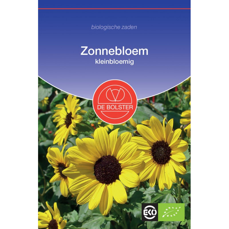 Vegetable seeds Flower seeds Organic seeds