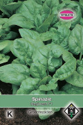 Regiment F1 - Spinach seeds