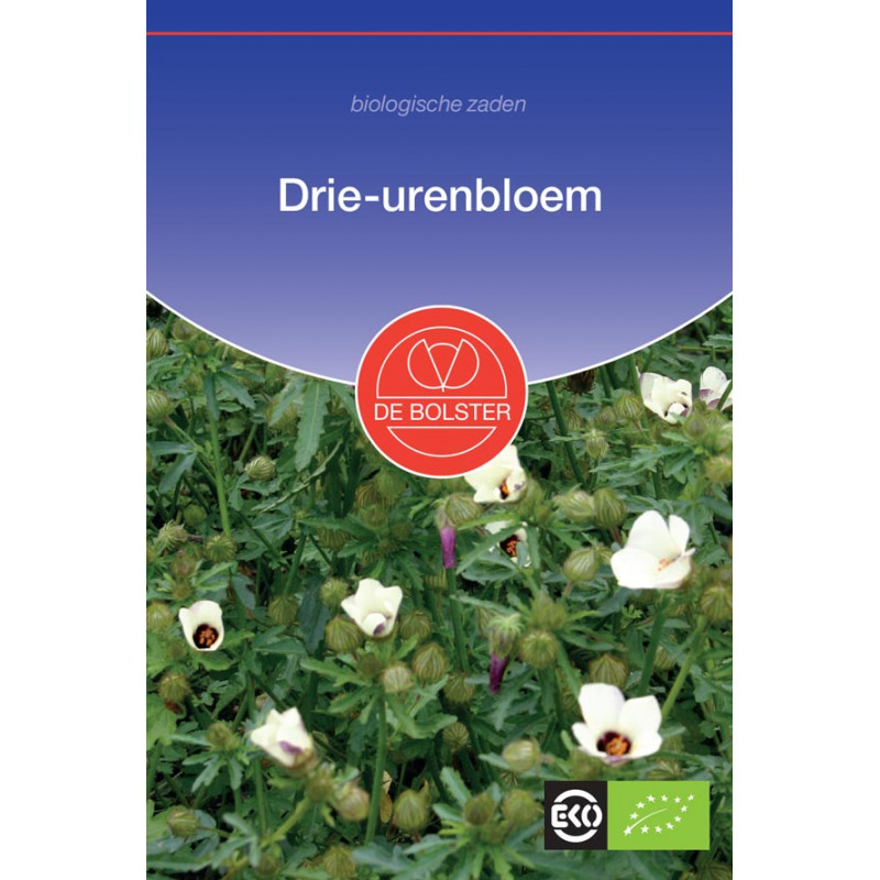 Vegetable seeds Flower seeds Organic seeds