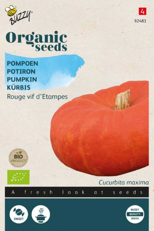 Red Etampes Giant pumpkin Organic seeds