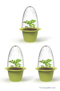 Set of 3 mini greenhouses - Romberg