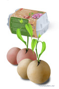 6 x Seed Bombs Flower Magic - Romberg