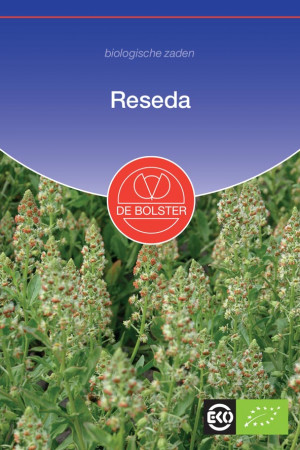 Reseda Odorata Organic Seeds