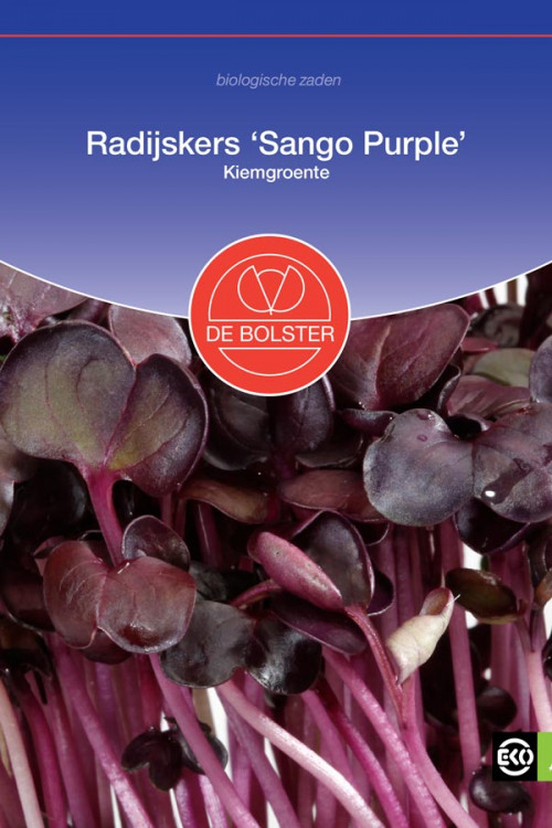Sango Purple Radijskers biologische zaden