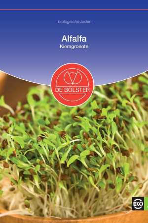 Alfalfa Organic Sprouting Seeds