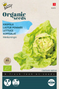 May Queen Lettuce - Organic seeds