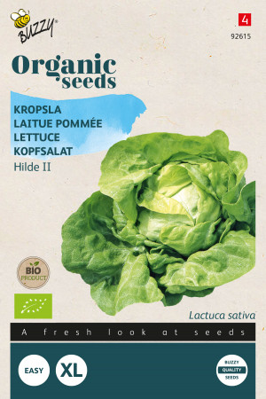 Hilde 2 Lettuce - Organic...